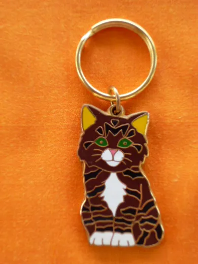 Schlüssel Anhänger Tabby Cat Emailliert ca. 5cm