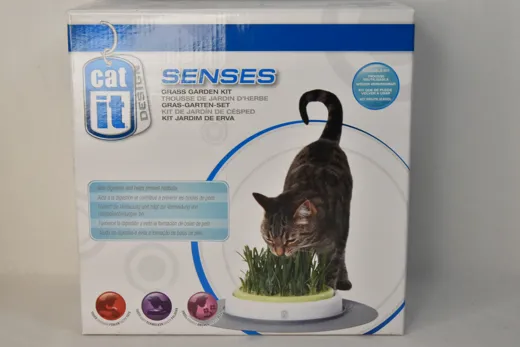 SENSES Gras Garten Set für Katzen