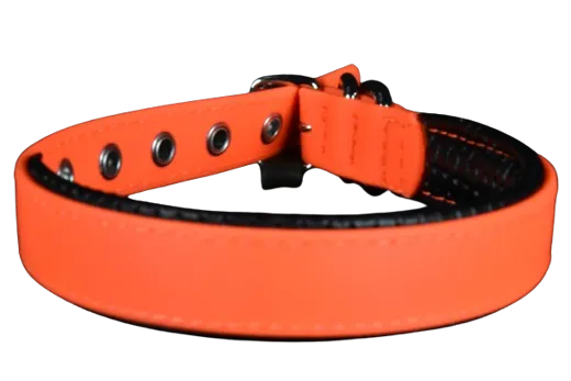 HUNTER Hundehalsband Convenience Comfort neonorange