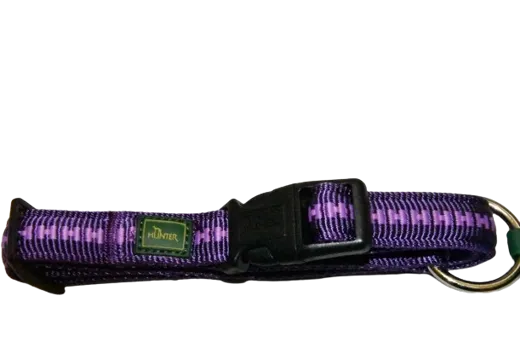 HUNTER Hundehalsband Nylon M violett