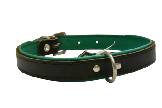 HUNTER Hundehalsband Black + Colour grün 42 cm