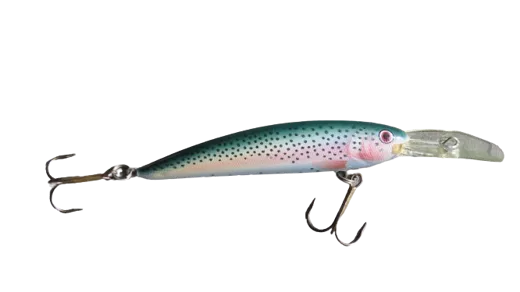 ALEX Costa Wobbler Rainbow Trout 10 cm 15 g Floating + 5 m