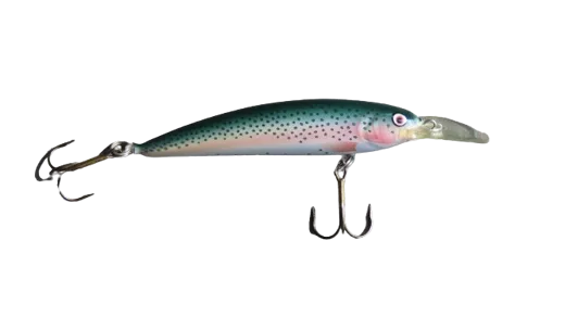 ALEX Costa Wobbler Rainbow Trout 10 cm 15 g Floating + 2.5 m